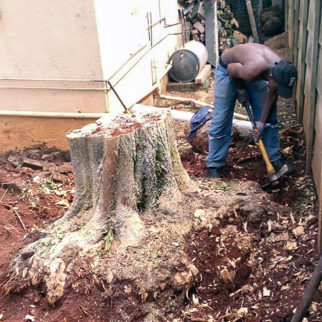 Stump Removal service